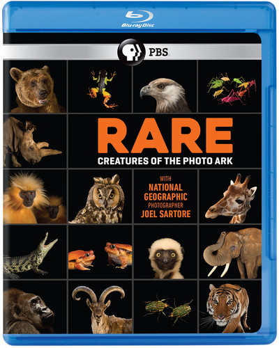 Rare: Creatures of the Photo Ark