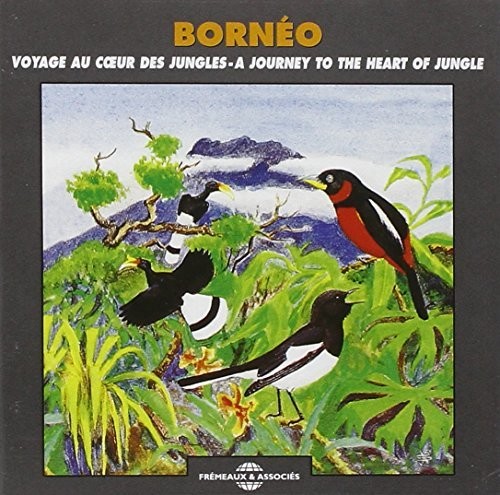 Borneo: Journey Heart of Jungle