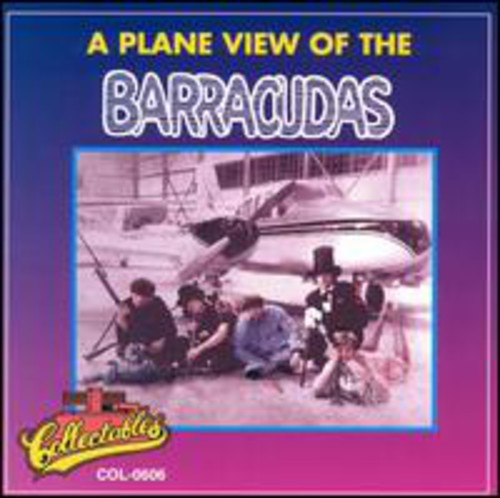A Plane View Of The Barracudas