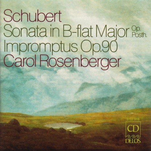 Piano Sonata /  Impromptus