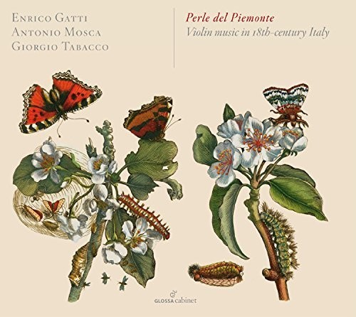 Perle Del Piemonte - Violin Music in 18Th-Century