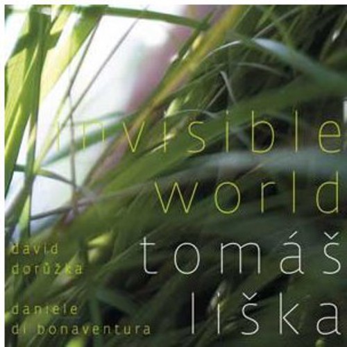 Invisible World