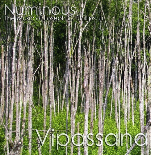 Numinous - Vipassana
