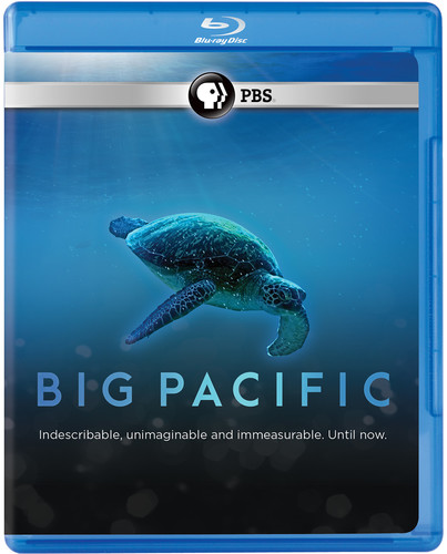 Big Pacific