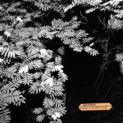 Dolorean - Violence in the Snowy Fields