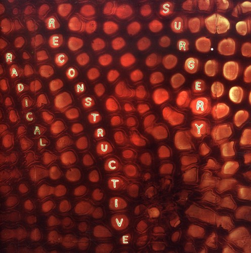Scotty Hard Radical Reconstructive Surgery - Scotty Hard's Radical Reconstructive Surgery - John Medeski and Matthew Shipp