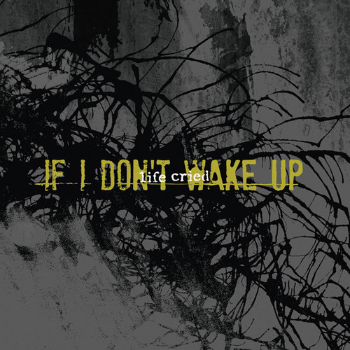 If I Don't Wake Up