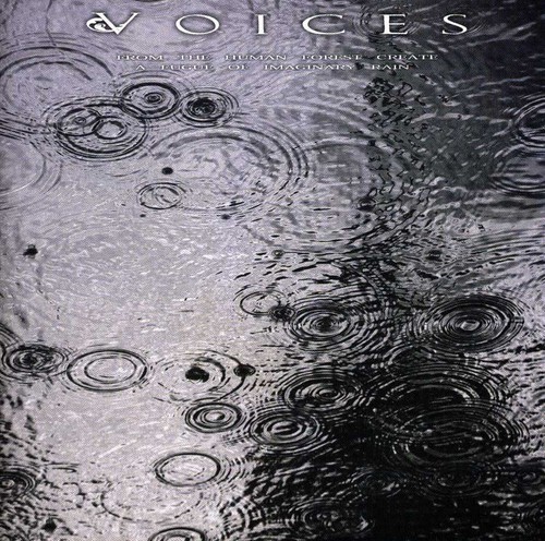 From The Human Forest Create A Fugue Of Imaginary Rain