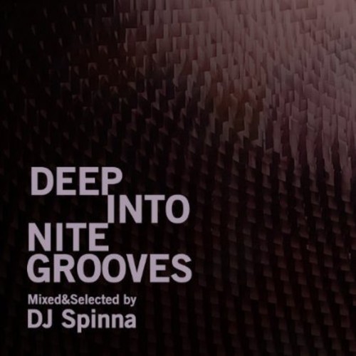 Deep Into Nite Grooves: Mixed By DJ Spin /  Various