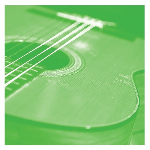 Vdsq Solo Acoustic Vol. 13
